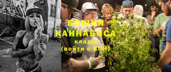 гидра Балахна