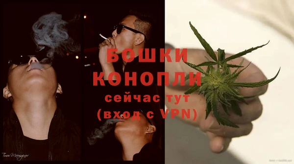 гидра Балахна