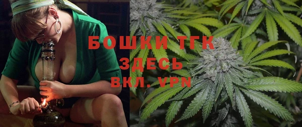 гидра Балахна
