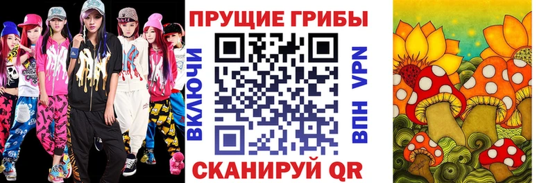 Галлюциногенные грибы Psilocybine cubensis Астрахань